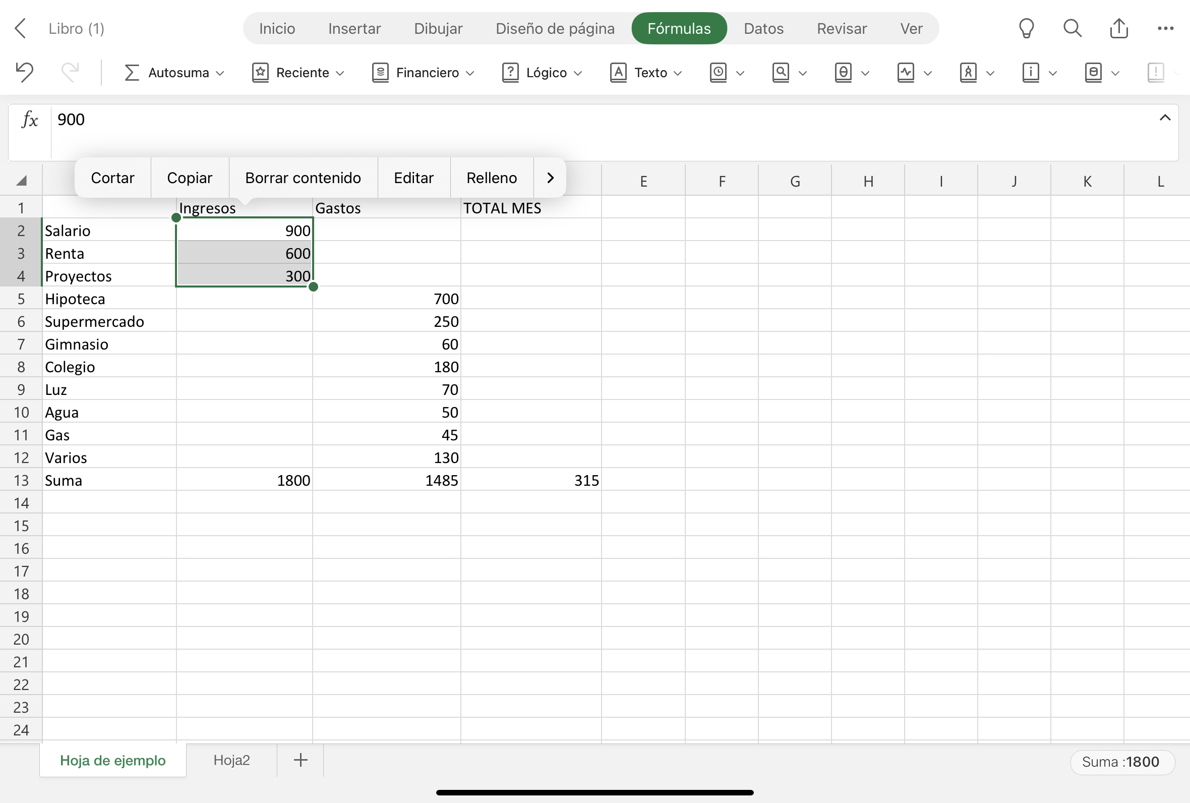 Imagen de un rango Excel.