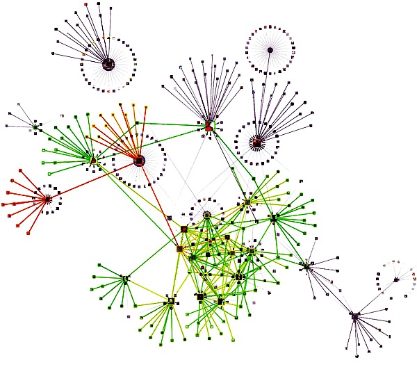 Representación visual de una red social.